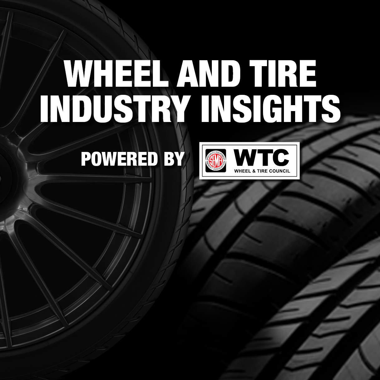 Wheel and Tire Industry Insights, powered by WTC